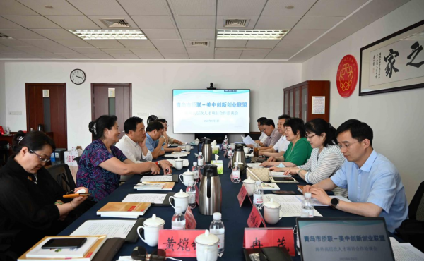 Connect with overseas intellectual resources and serve the talent introduction of projects